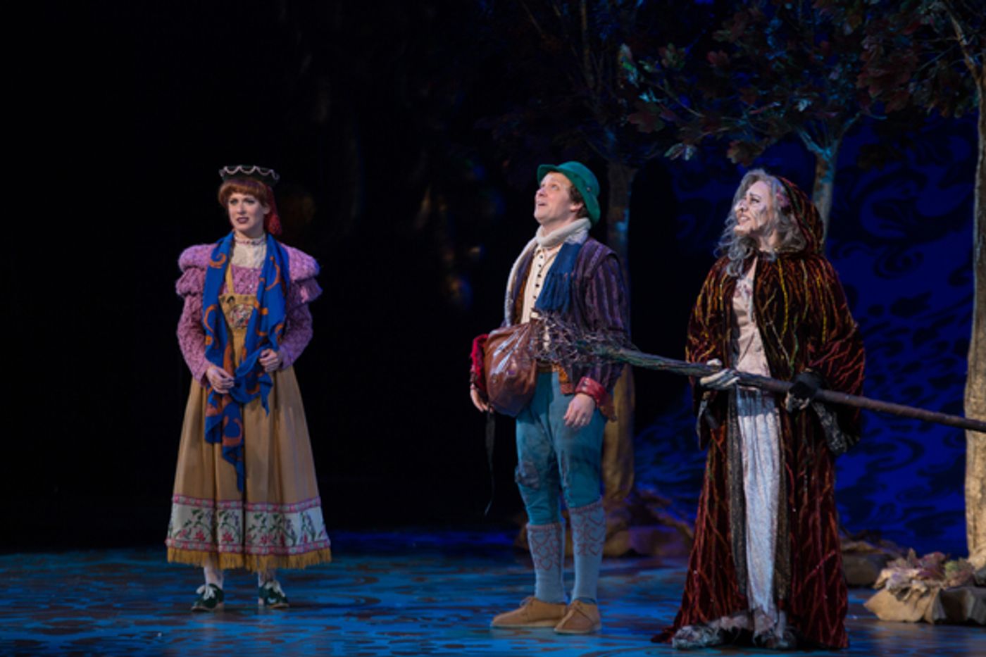 Photo Flash: First Look at Emily Skinner, Nick Bailey, Jeremy Hays and More in INTO THE WOODS at TUTS  Image