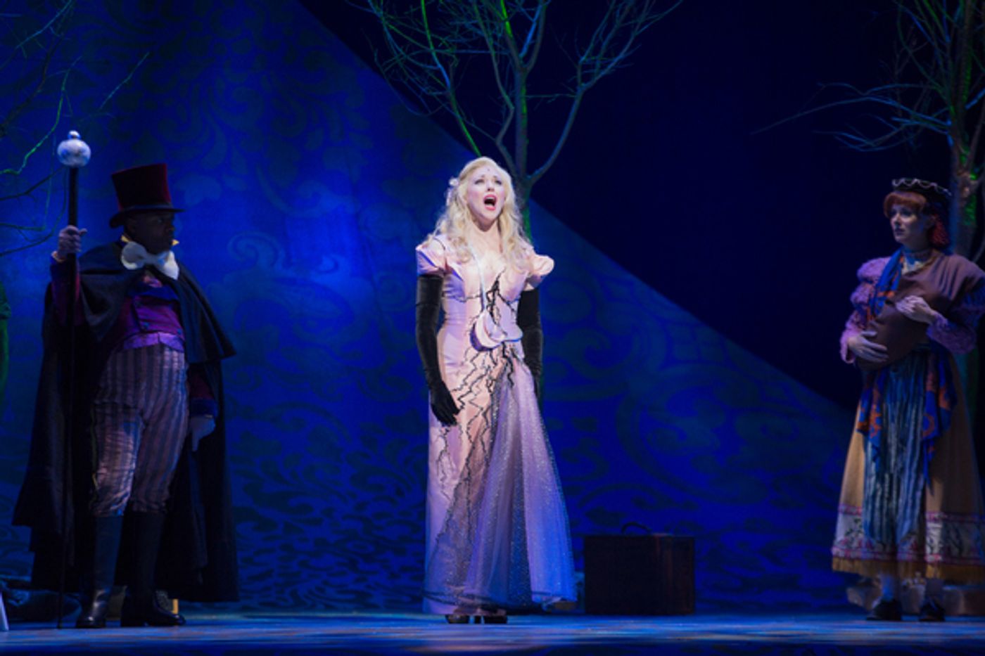 Photo Flash: First Look at Emily Skinner, Nick Bailey, Jeremy Hays and More in INTO THE WOODS at TUTS  Image