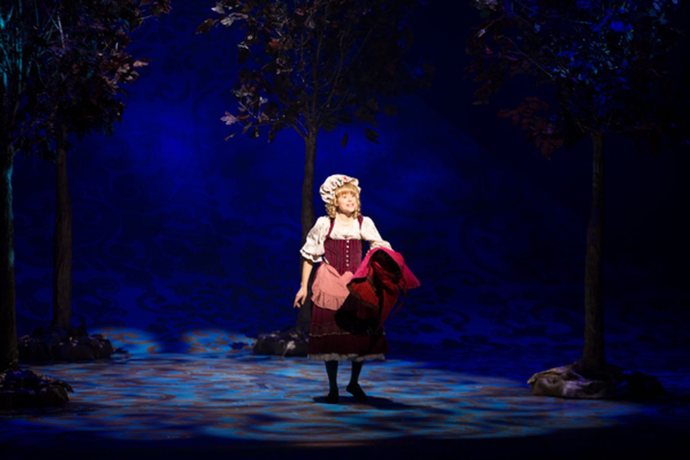 Photo Flash: First Look at Emily Skinner, Nick Bailey, Jeremy Hays and More in INTO THE WOODS at TUTS  Image