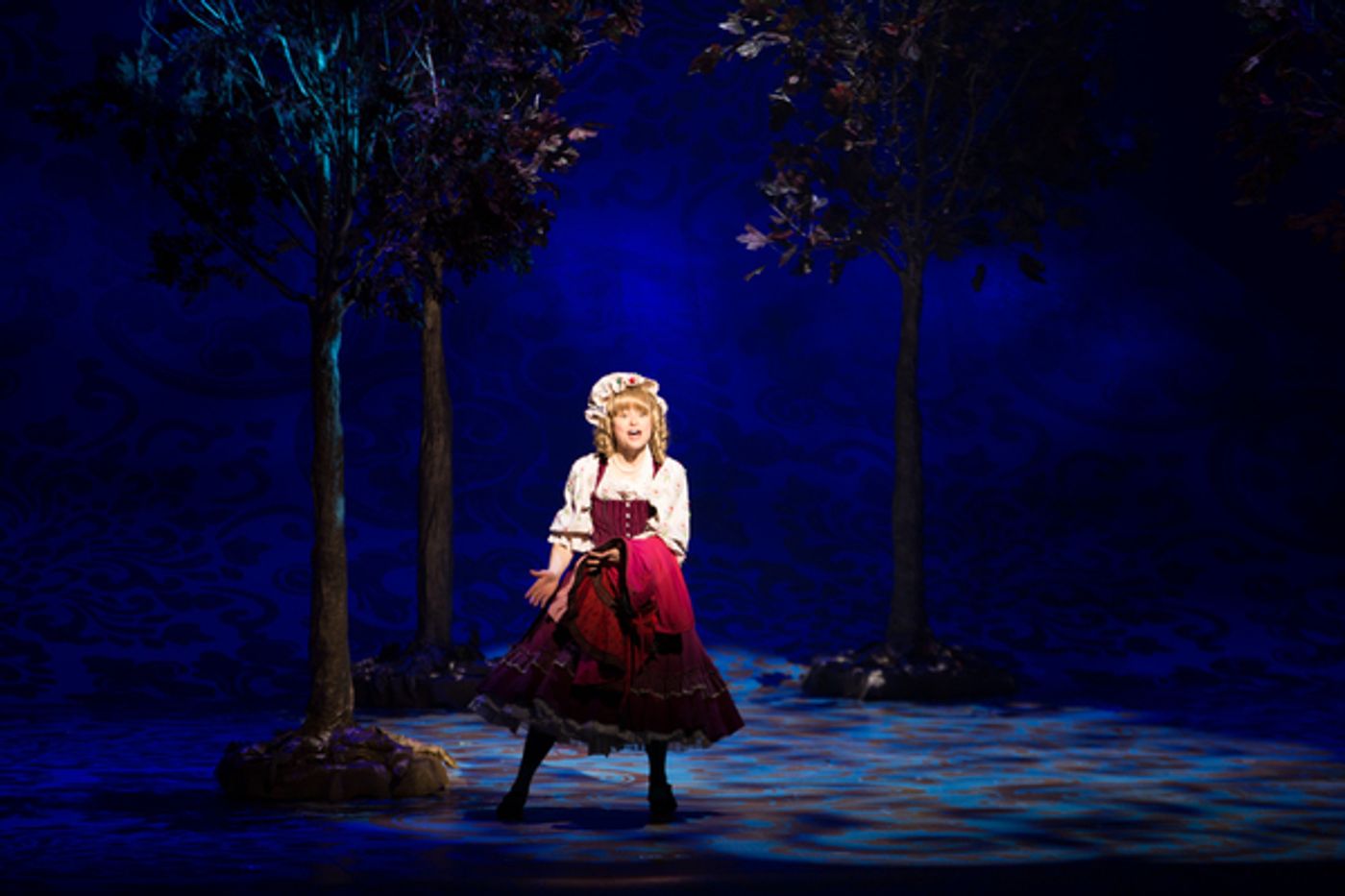 Photo Flash: First Look at Emily Skinner, Nick Bailey, Jeremy Hays and More in INTO THE WOODS at TUTS  Image