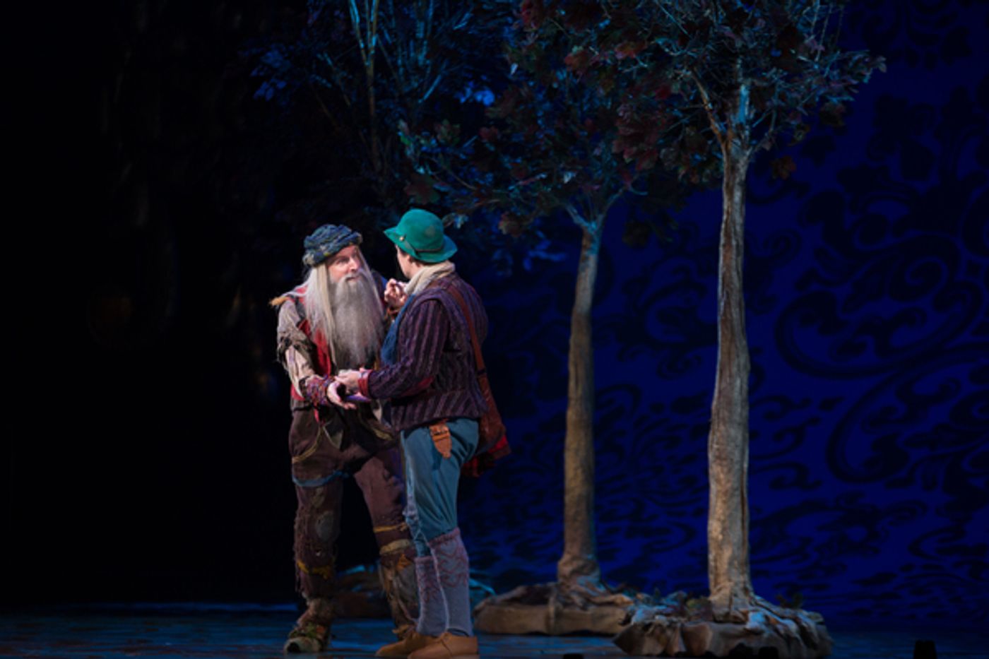 Photo Flash: First Look at Emily Skinner, Nick Bailey, Jeremy Hays and More in INTO THE WOODS at TUTS  Image