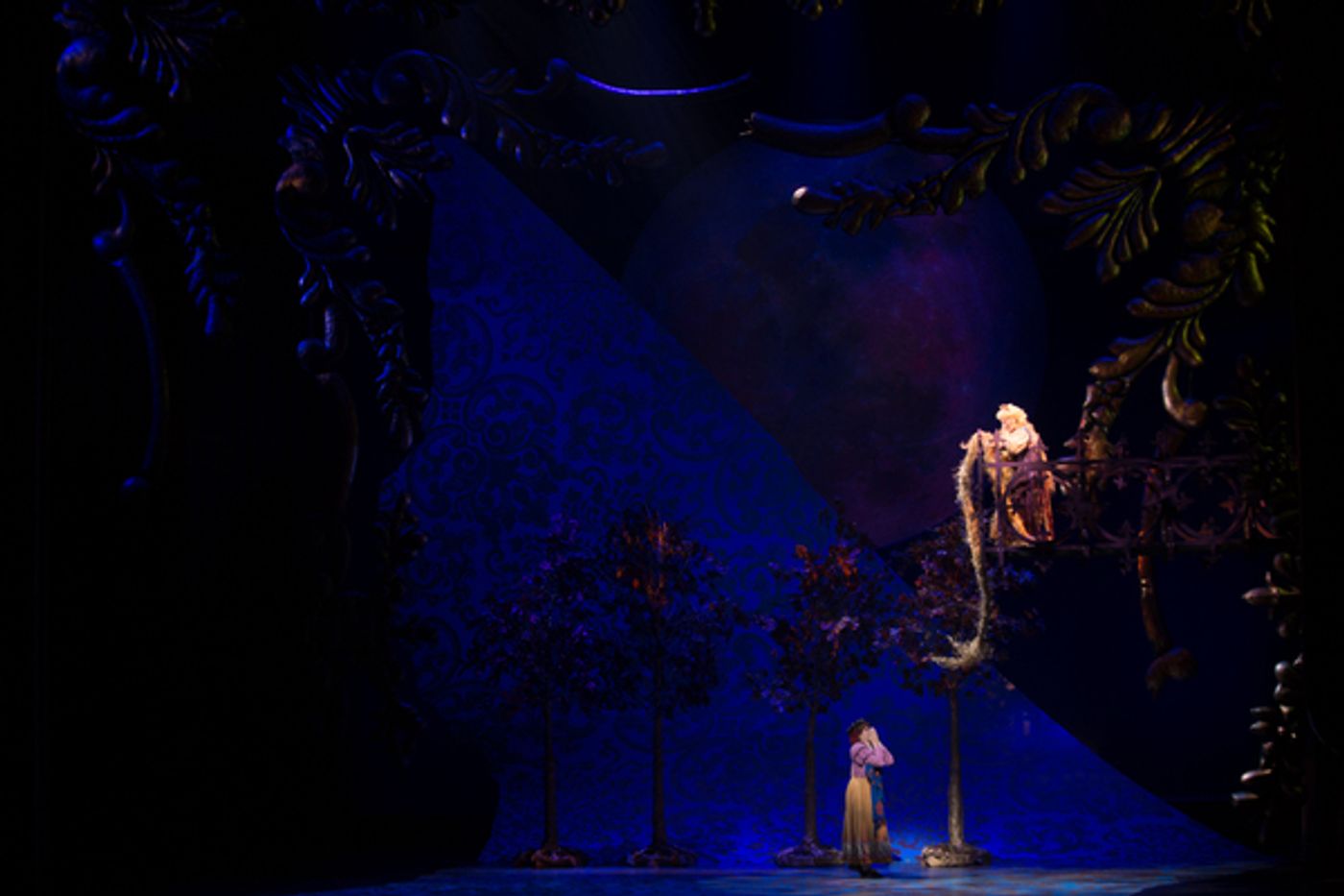 Photo Flash: First Look at Emily Skinner, Nick Bailey, Jeremy Hays and More in INTO THE WOODS at TUTS  Image