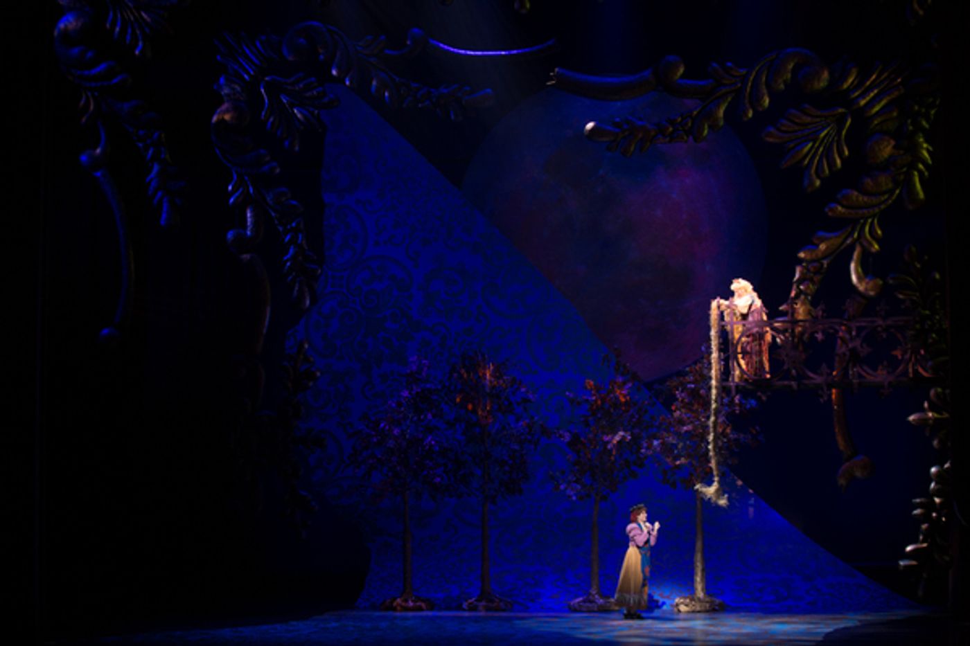 Photo Flash: First Look at Emily Skinner, Nick Bailey, Jeremy Hays and More in INTO THE WOODS at TUTS  Image