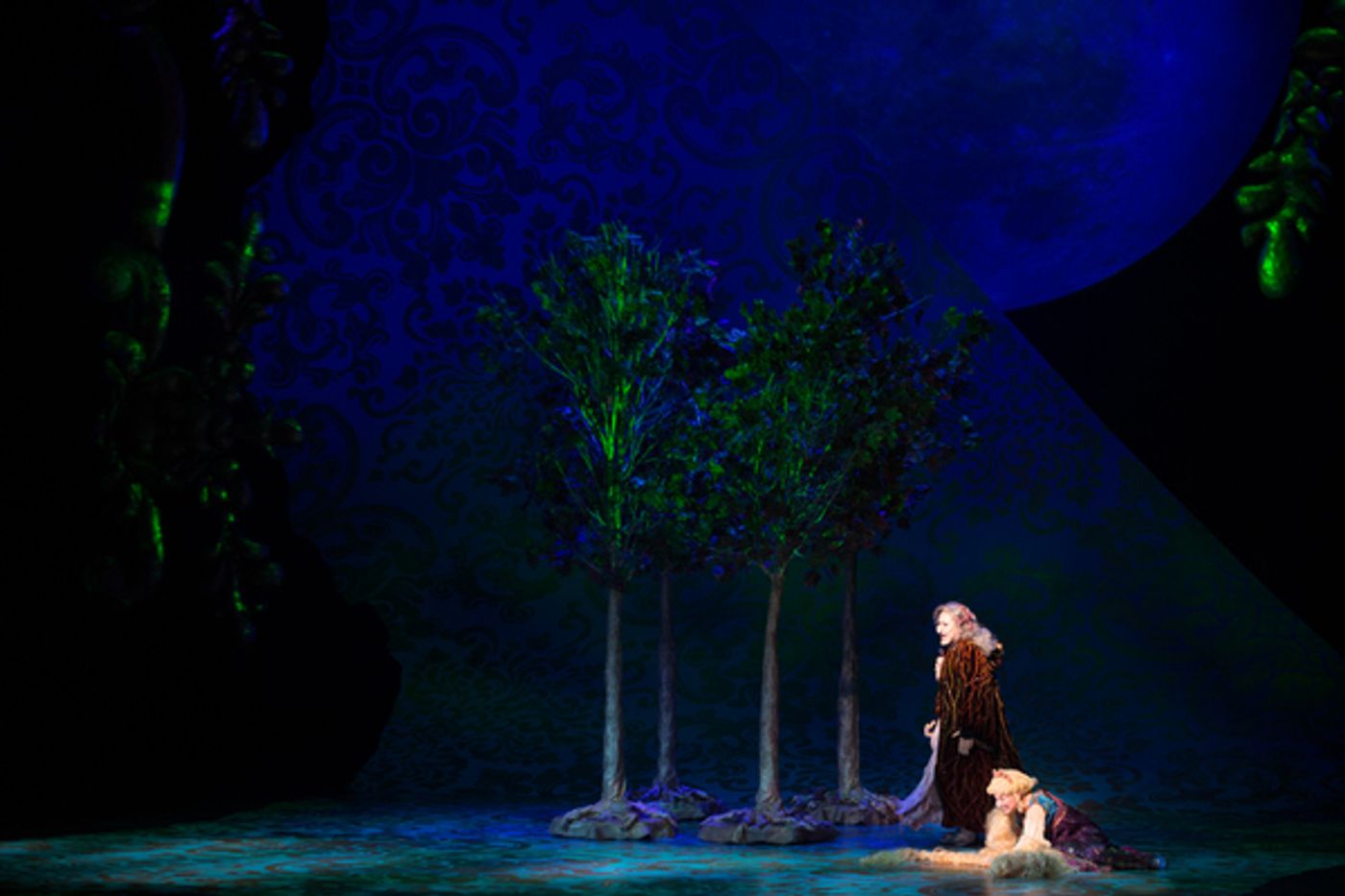 Photo Flash: First Look at Emily Skinner, Nick Bailey, Jeremy Hays and More in INTO THE WOODS at TUTS  Image