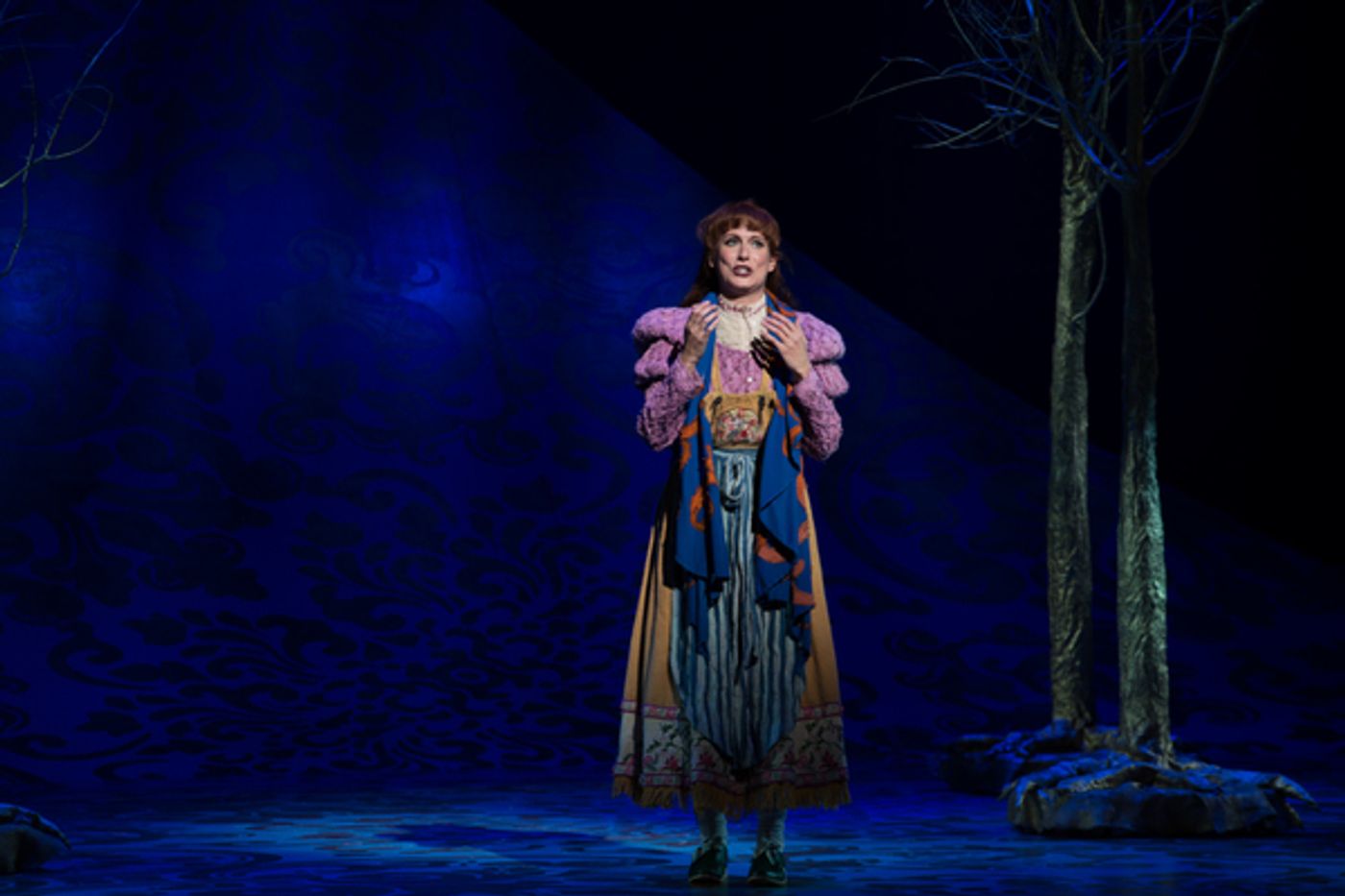 Photo Flash: First Look at Emily Skinner, Nick Bailey, Jeremy Hays and More in INTO THE WOODS at TUTS  Image