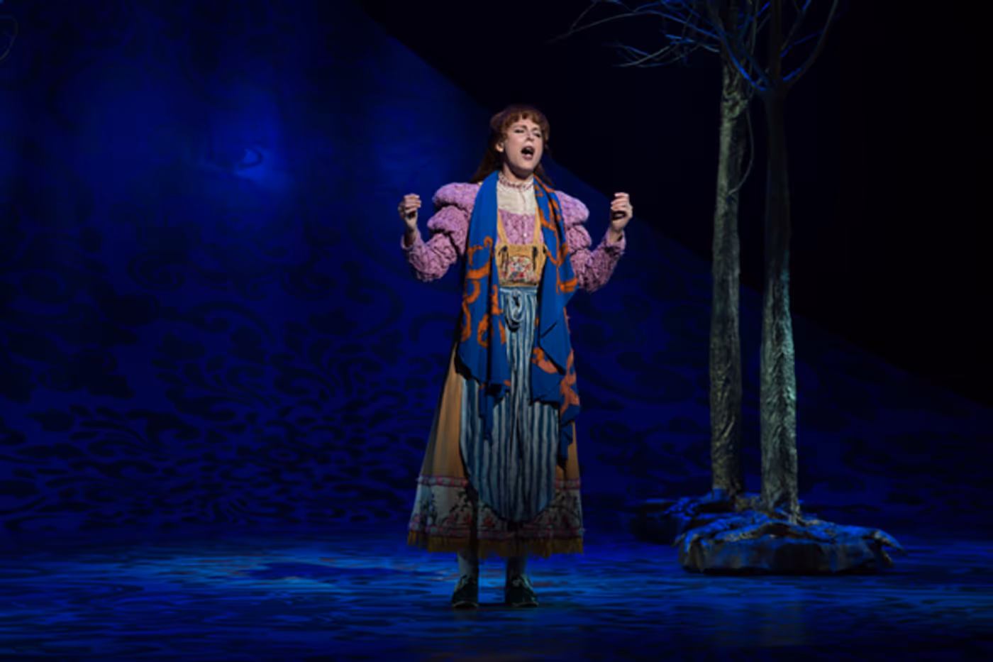 Photo Flash: First Look at Emily Skinner, Nick Bailey, Jeremy Hays and More in INTO THE WOODS at TUTS  Image