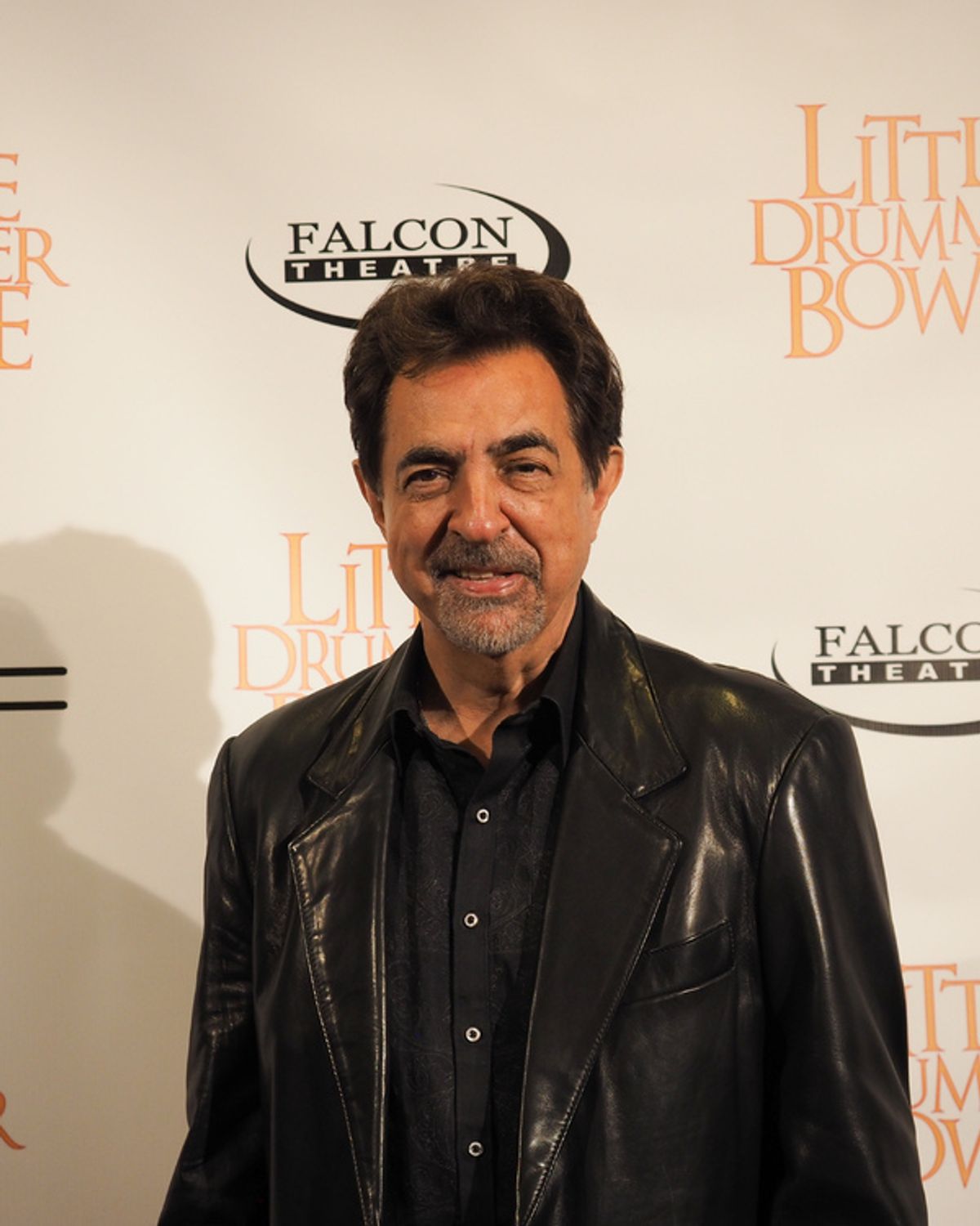 Joe Mantegna at 