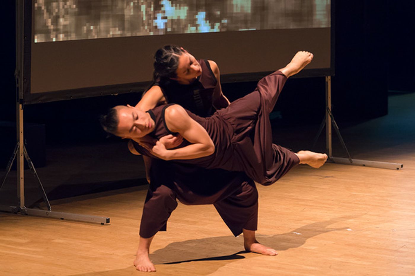 Photo Flash: Chinese Arts Space Presents PROJECT NEW EARTH  Image