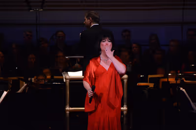 Ann Hampton Callaway Photo