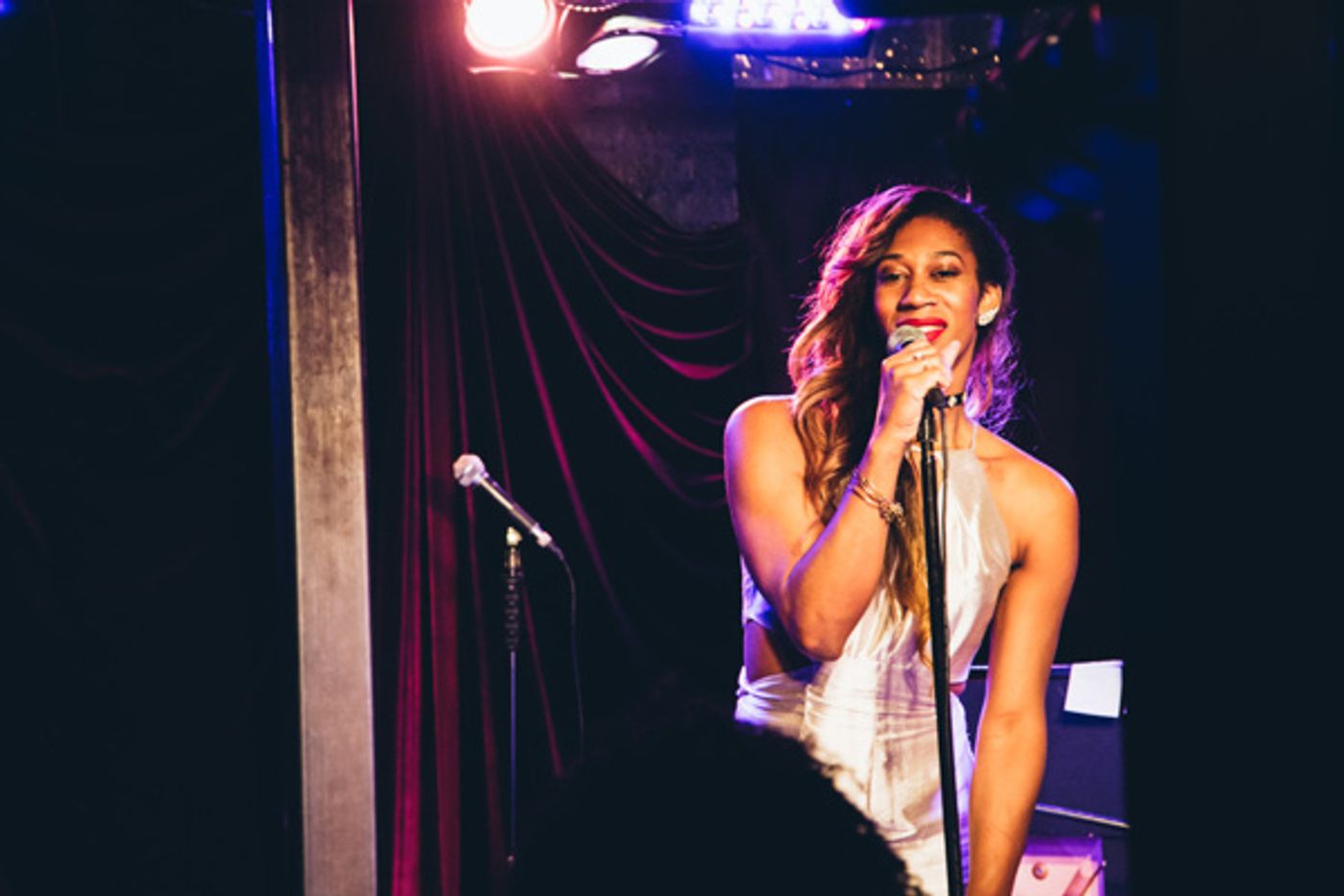 Photo Flash: STRONGER TOGETHER: A MUSICAL CELEBRATION OF UNITY Raises Money for ACLU  Image