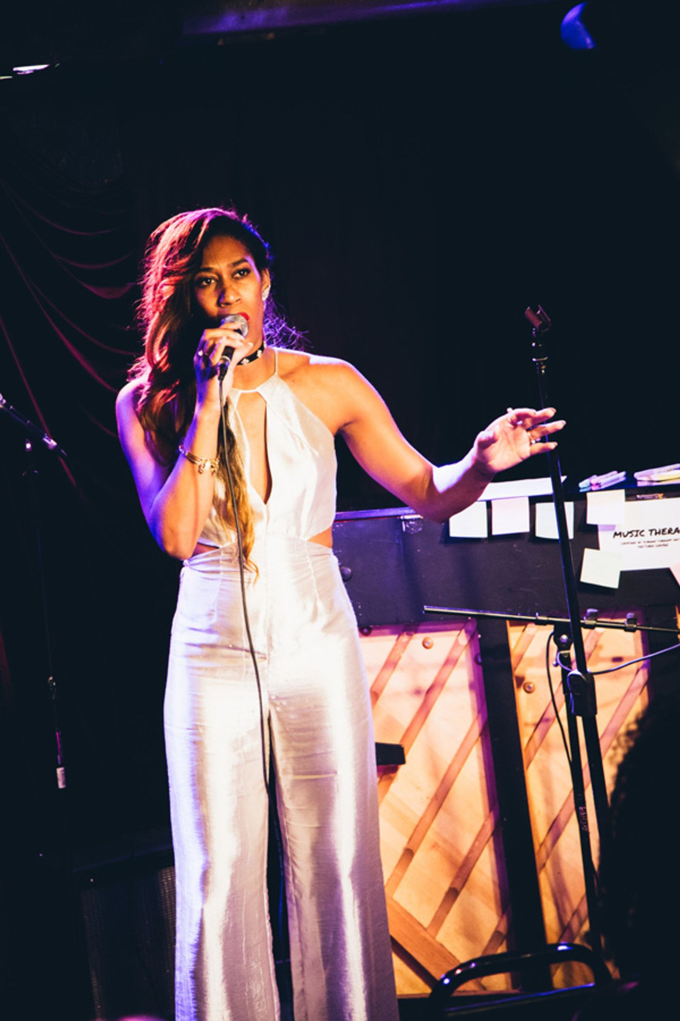 Photo Flash: STRONGER TOGETHER: A MUSICAL CELEBRATION OF UNITY Raises Money for ACLU  Image