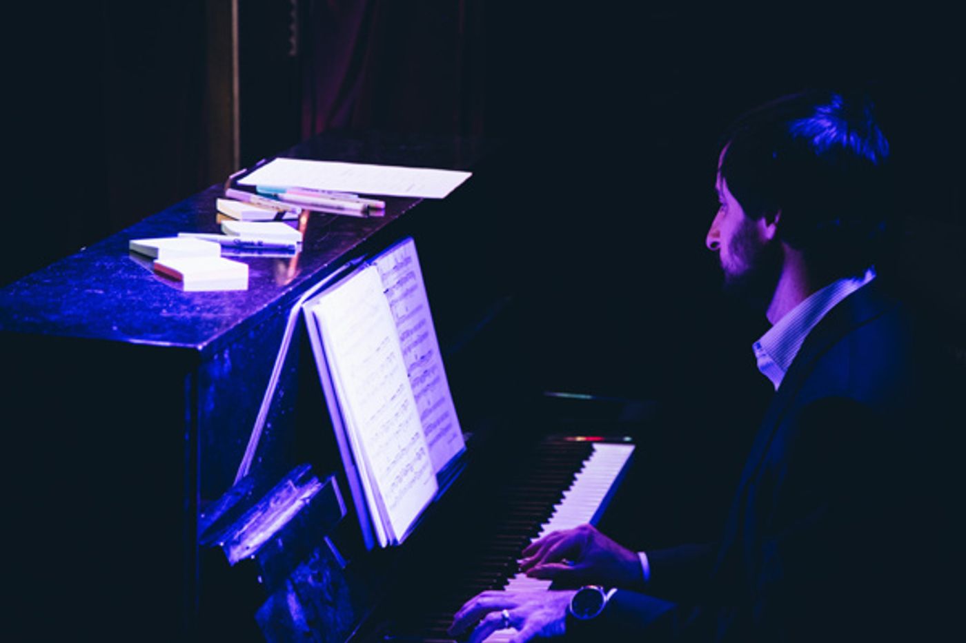 Photo Flash: STRONGER TOGETHER: A MUSICAL CELEBRATION OF UNITY Raises Money for ACLU  Image