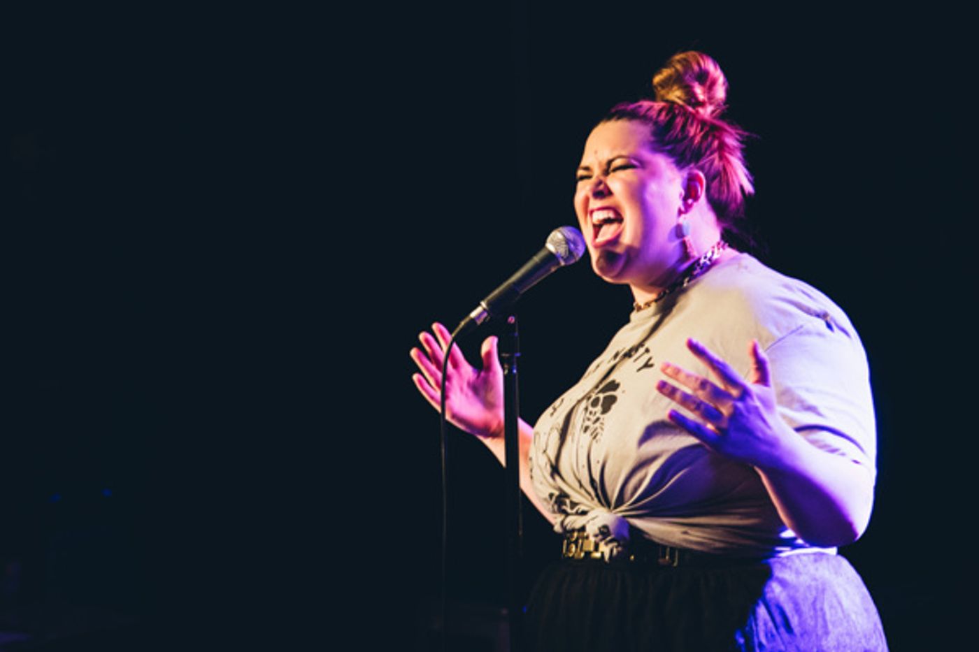 Photo Flash: STRONGER TOGETHER: A MUSICAL CELEBRATION OF UNITY Raises Money for ACLU  Image