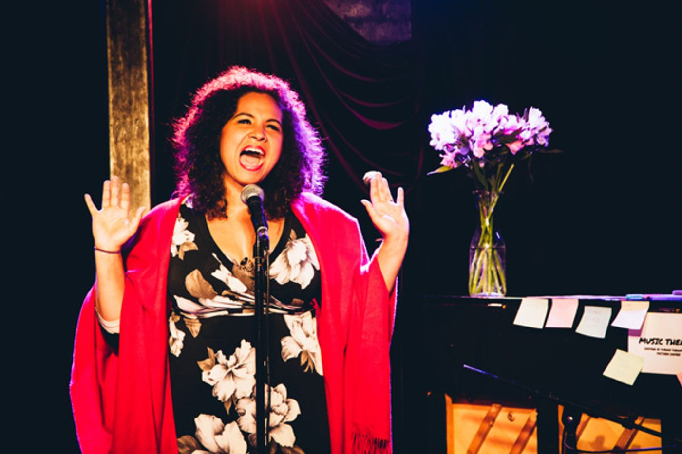 Photo Flash: STRONGER TOGETHER: A MUSICAL CELEBRATION OF UNITY Raises Money for ACLU  Image