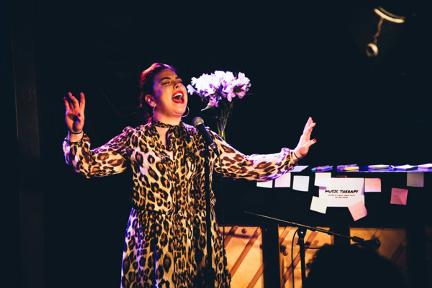 Photo Flash: STRONGER TOGETHER: A MUSICAL CELEBRATION OF UNITY Raises Money for ACLU  Image