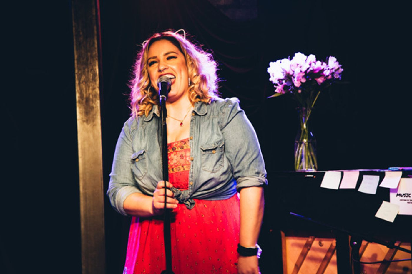 Photo Flash: STRONGER TOGETHER: A MUSICAL CELEBRATION OF UNITY Raises Money for ACLU  Image