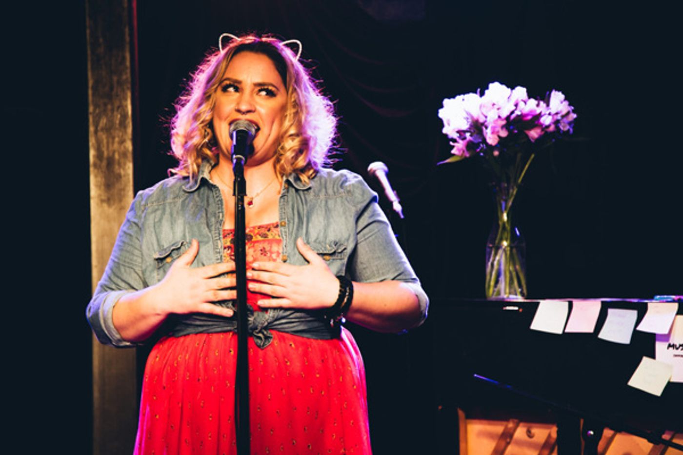 Photo Flash: STRONGER TOGETHER: A MUSICAL CELEBRATION OF UNITY Raises Money for ACLU  Image