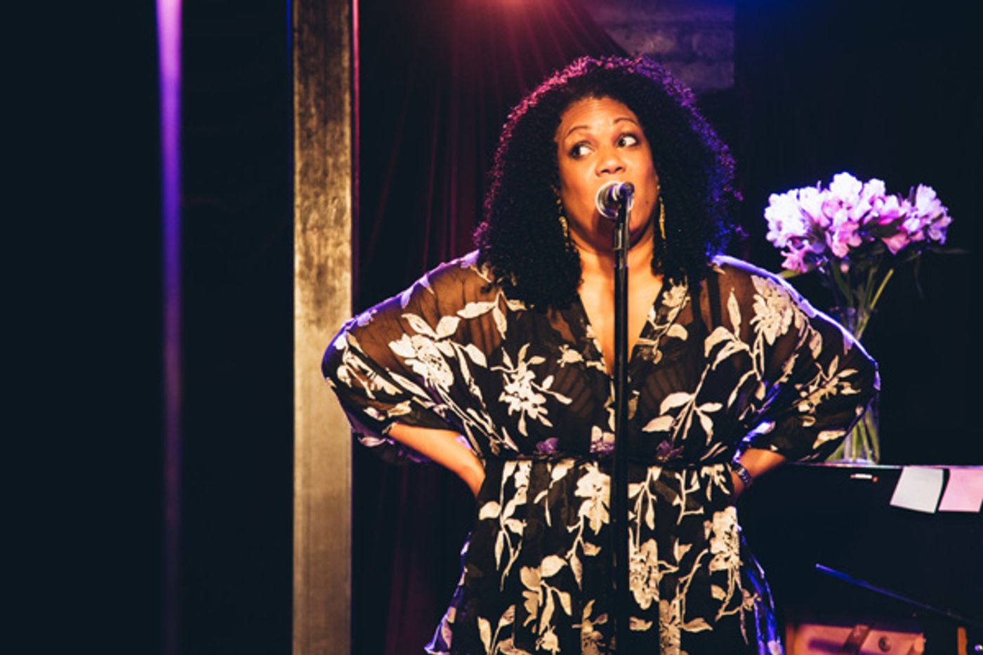 Photo Flash: STRONGER TOGETHER: A MUSICAL CELEBRATION OF UNITY Raises Money for ACLU  Image