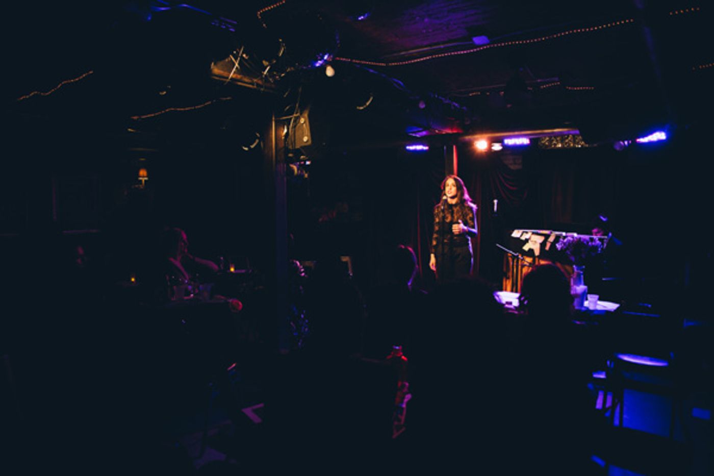 Photo Flash: STRONGER TOGETHER: A MUSICAL CELEBRATION OF UNITY Raises Money for ACLU  Image