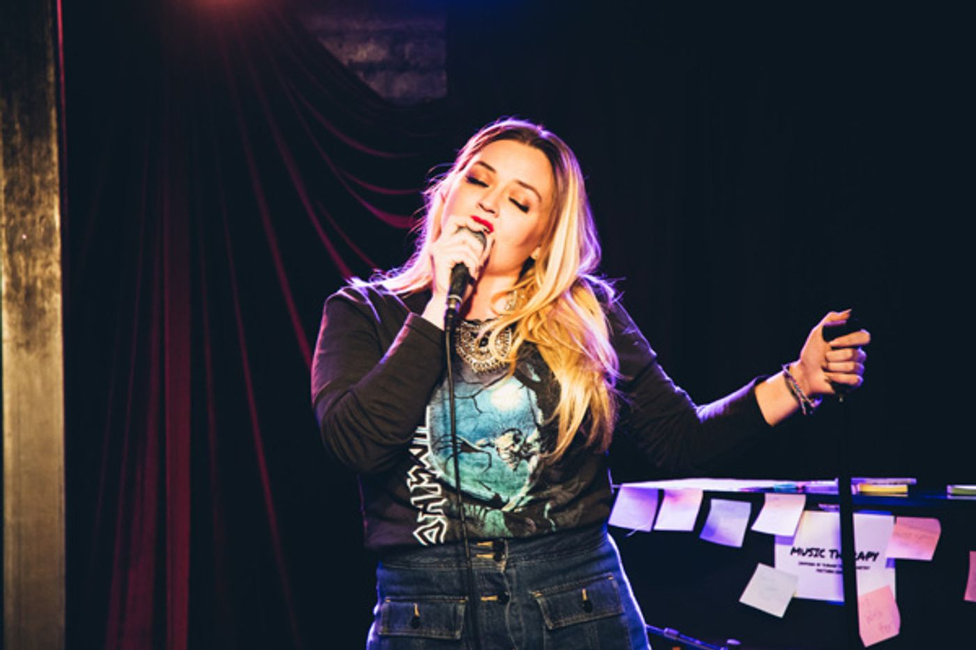 Photo Flash: STRONGER TOGETHER: A MUSICAL CELEBRATION OF UNITY Raises Money for ACLU  Image