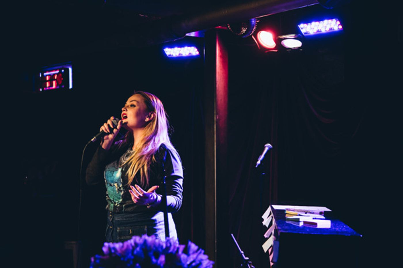 Photo Flash: STRONGER TOGETHER: A MUSICAL CELEBRATION OF UNITY Raises Money for ACLU  Image