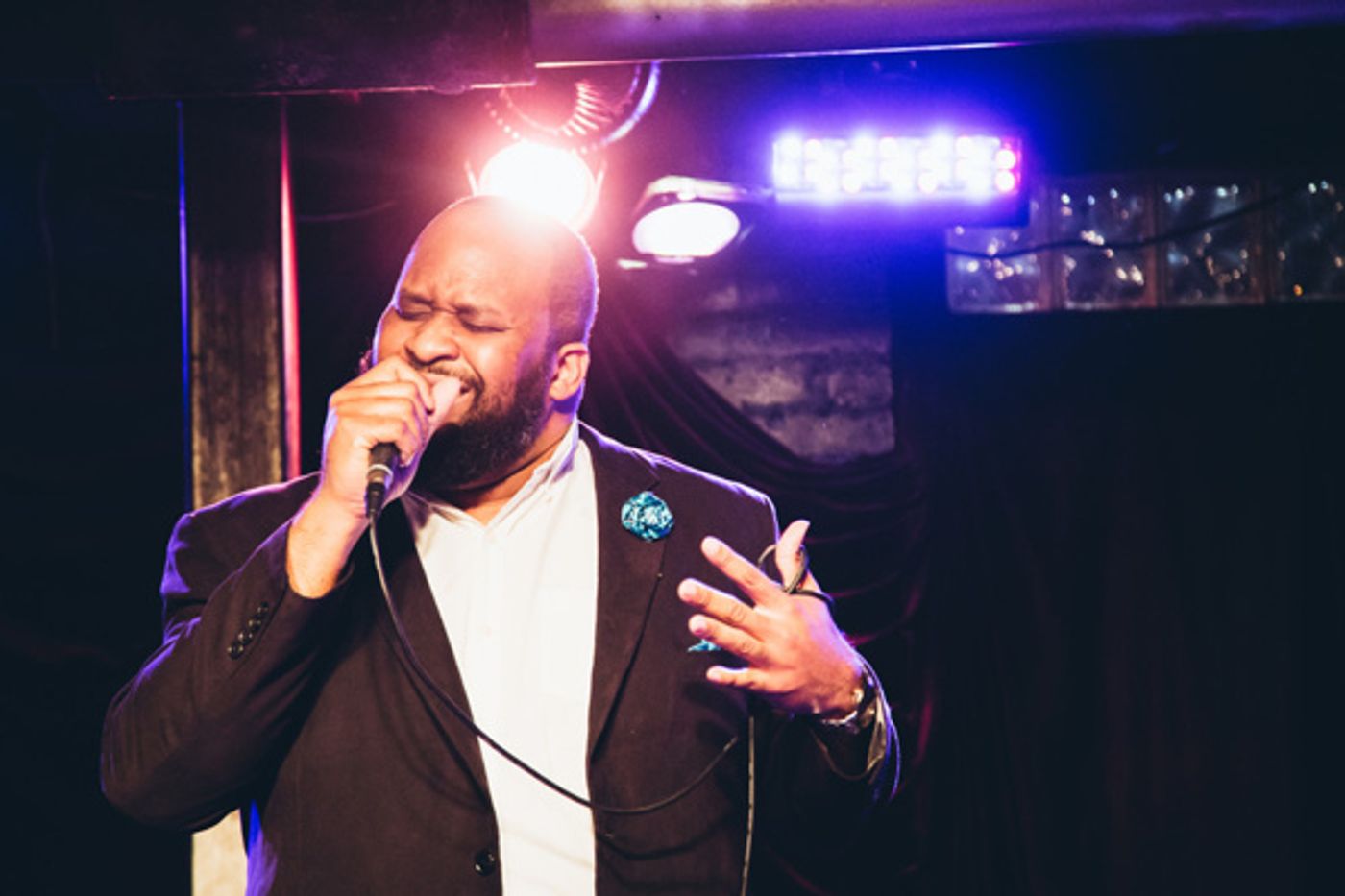 Photo Flash: STRONGER TOGETHER: A MUSICAL CELEBRATION OF UNITY Raises Money for ACLU  Image