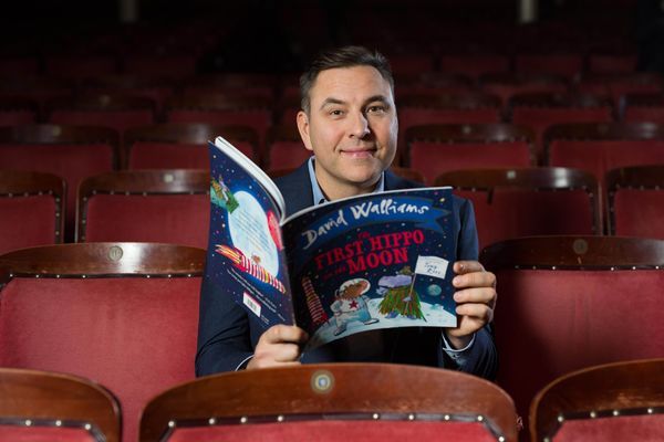 David Walliams Photo