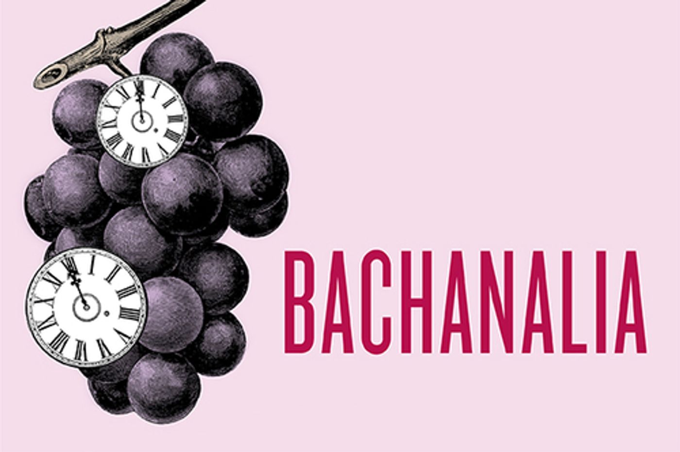 Feature: Ars Lyrica Houston Rocks Bach with Four Soloists This New Year's Eve  Image