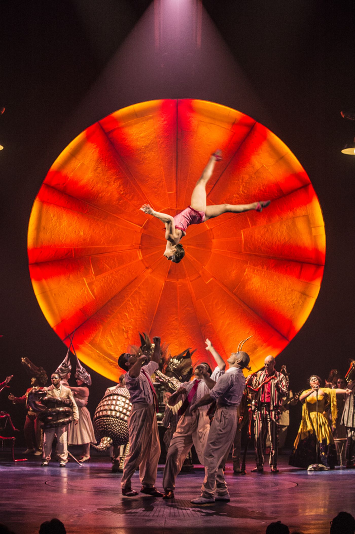 Photo Flash: Sneak Peek at Cirque du Soleil's LUZIA, Coming to San Jose  Image