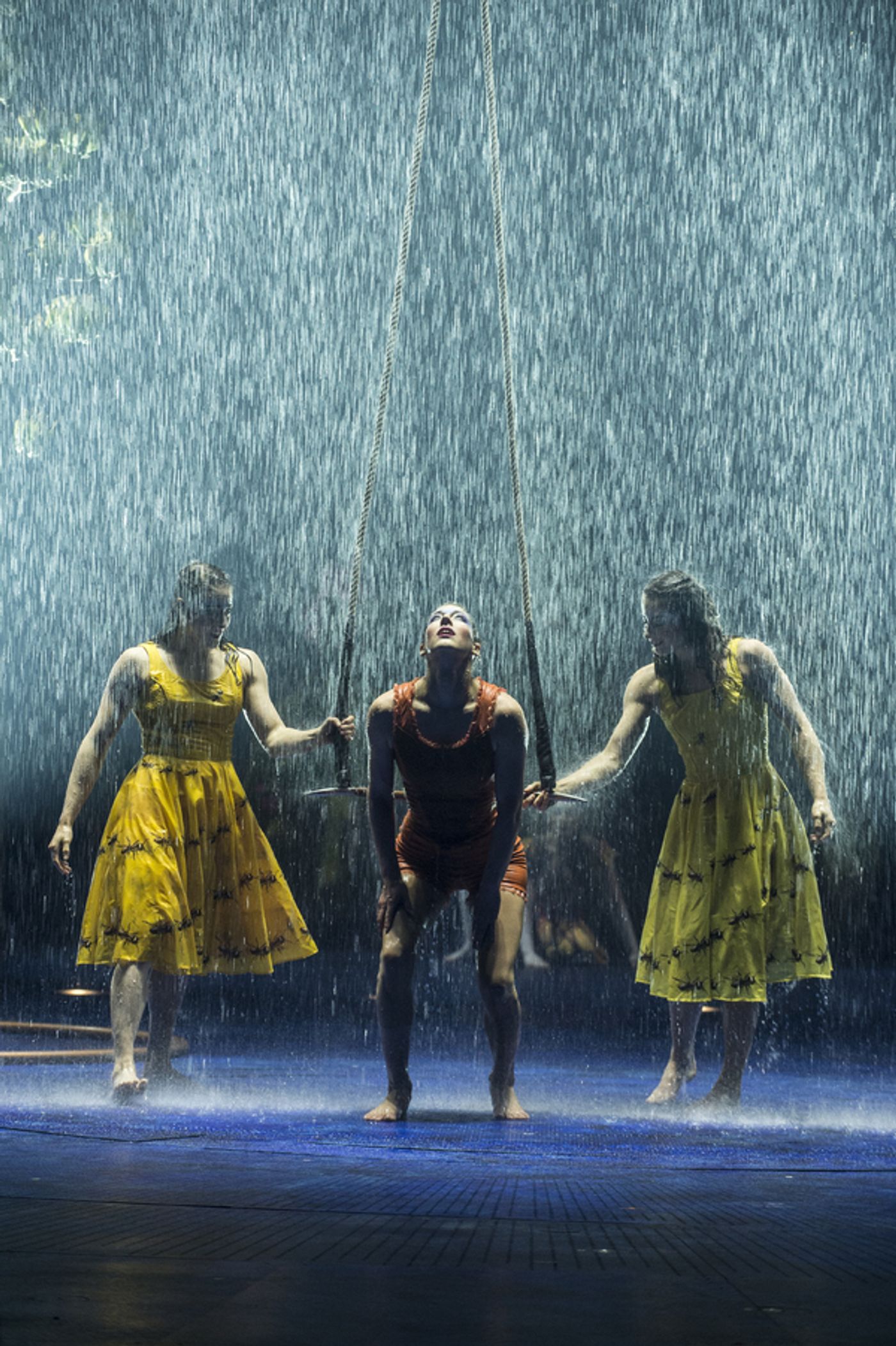 Photo Flash: Sneak Peek at Cirque du Soleil's LUZIA, Coming to San Jose  Image