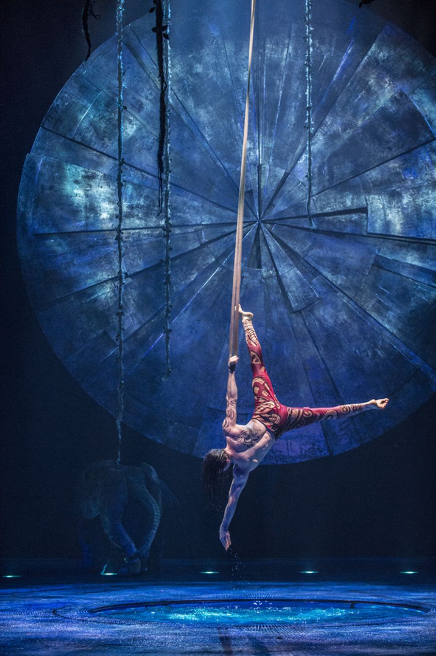 Photo Flash: Sneak Peek at Cirque du Soleil's LUZIA, Coming to San Jose Image