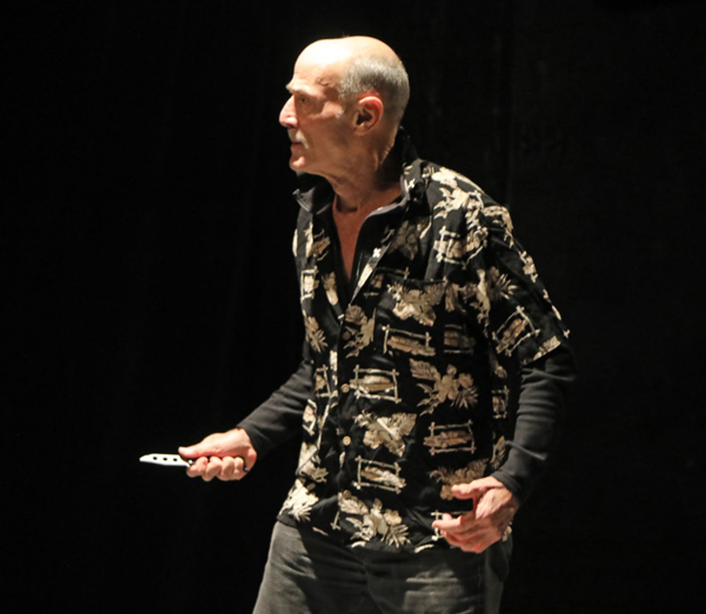 Photo Coverage: Primitive Grace Presents Premiere of FRINGE OF HUMANITY  Image