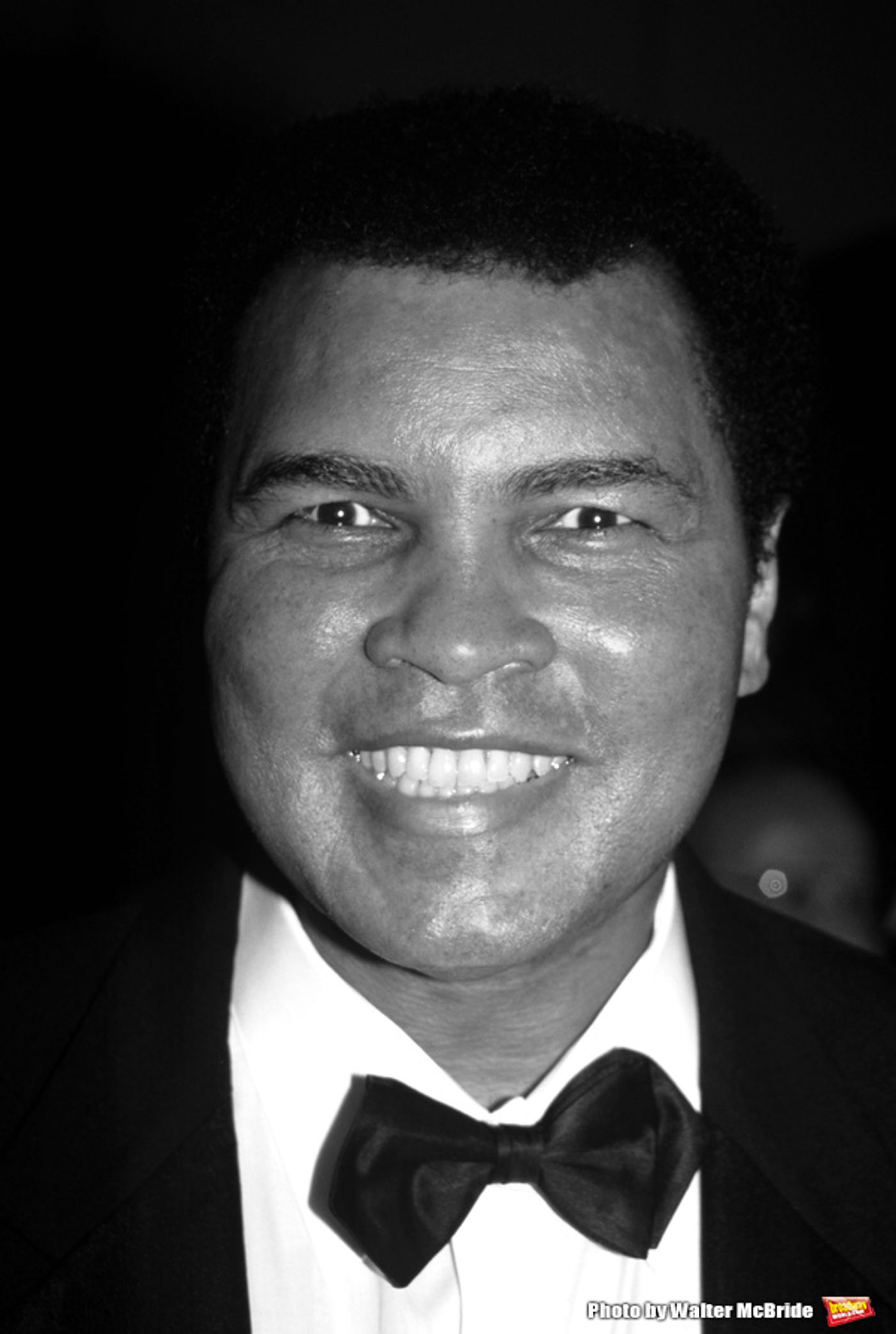 Photo Flash: Remembering the Great Men We Lost in 2016  Image