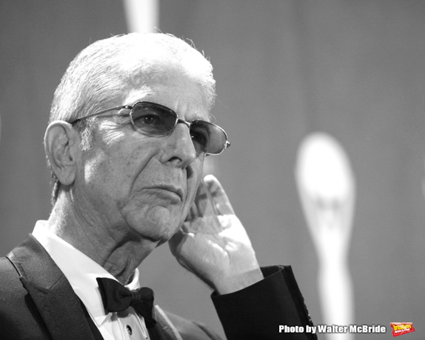 Photo Flash: Remembering the Great Men We Lost in 2016  Image