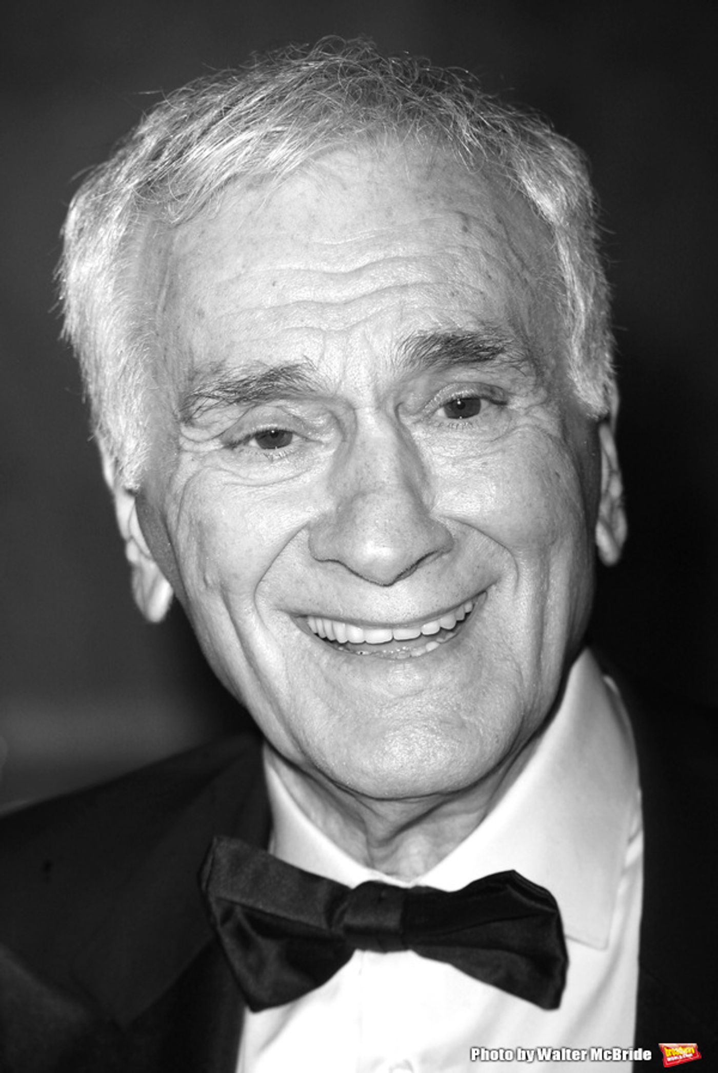 Photo Flash: Remembering the Great Men We Lost in 2016  Image