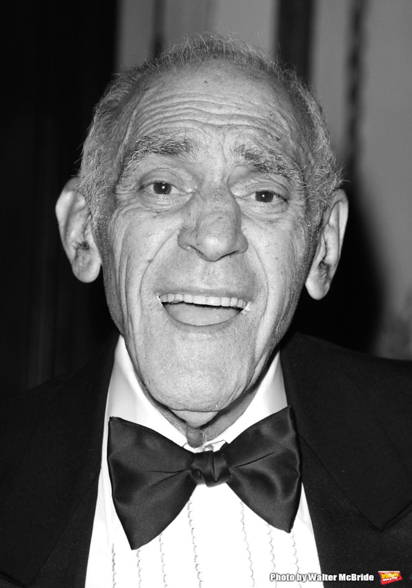 Photo Flash: Remembering the Great Men We Lost in 2016  Image