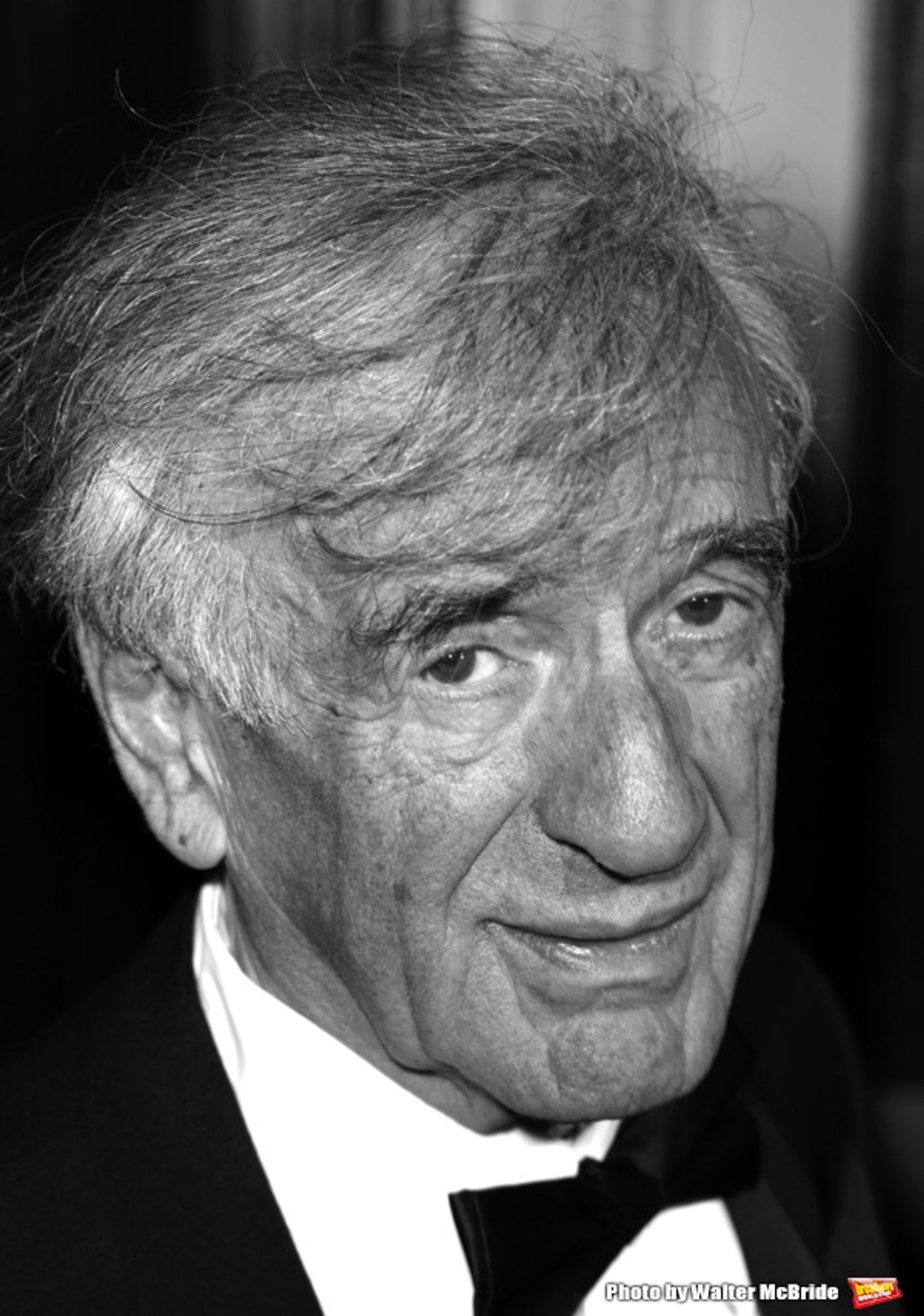 Photo Flash: Remembering the Great Men We Lost in 2016  Image