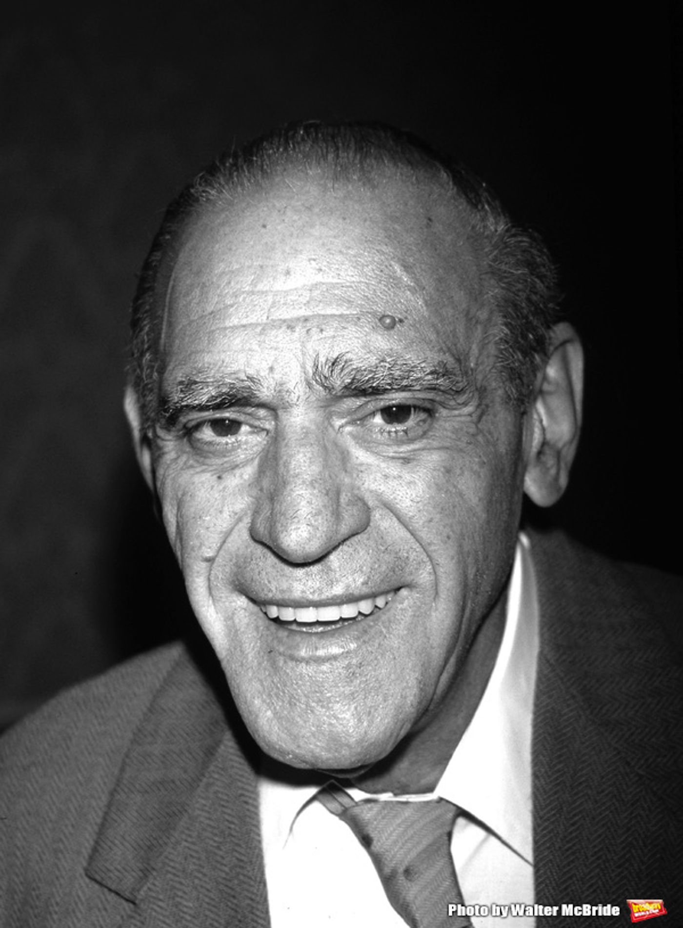 Photo Flash: Remembering the Great Men We Lost in 2016  Image