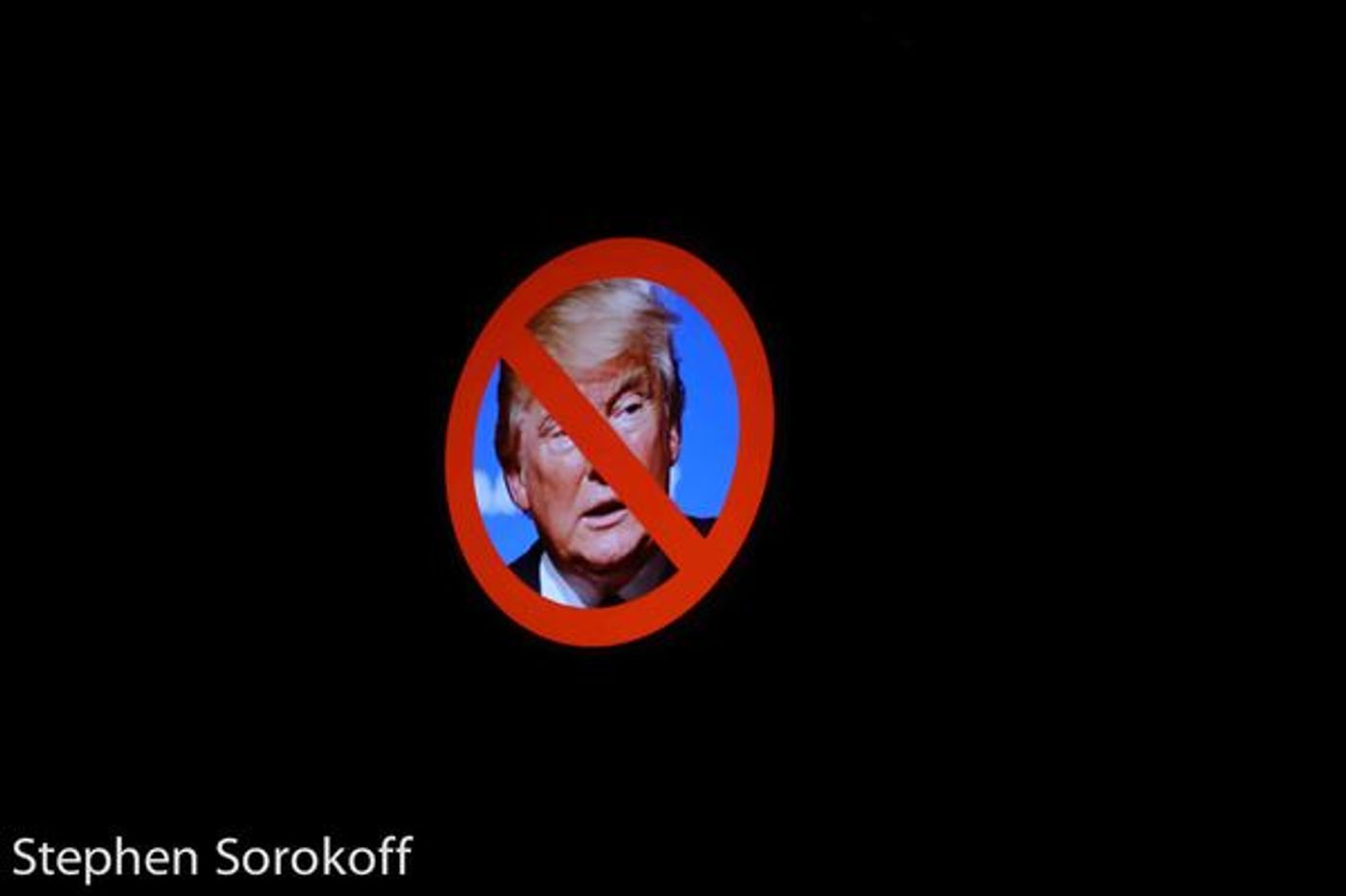 Photo Coverage: Randy Rainbow Hosts Pre-Inaugural Situation at Birdland Photo Coverage: Randy Rainbow Hosts Pre-Inaugural Situation at Birdland Image