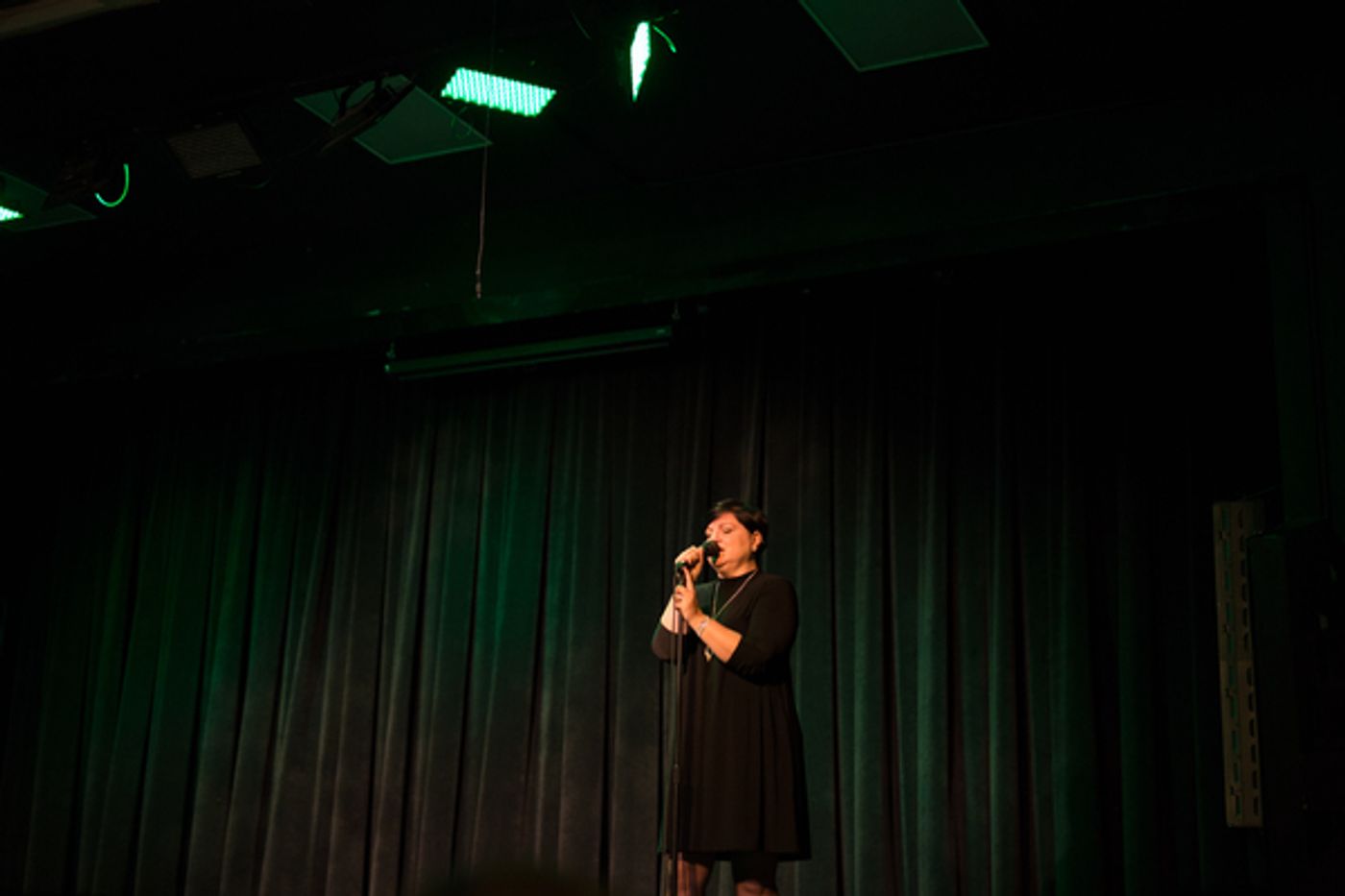 Photo Coverage: MIDWINTER'S FIRST NIGHT 2017  Image