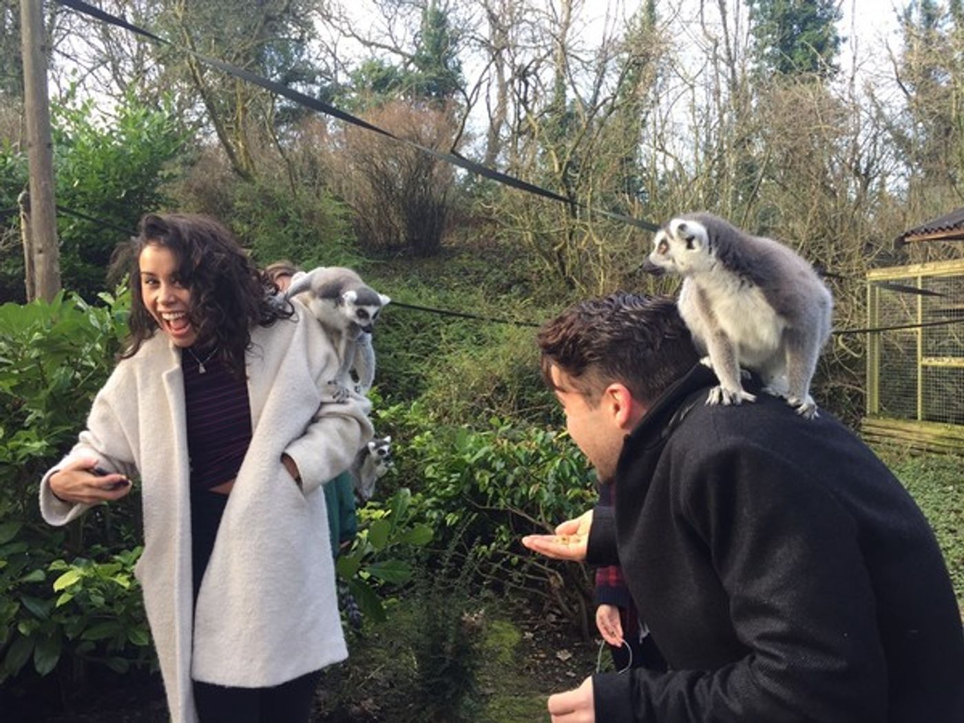Photo Flash: Joe McElderry and ALADDIN Panto Cast Visit Dudley Zoo  Image