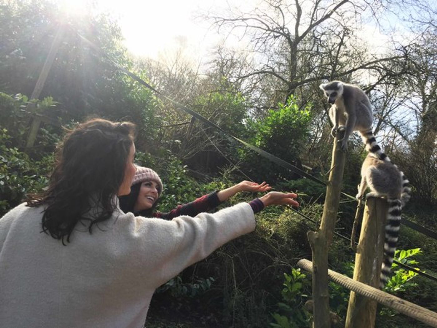 Photo Flash: Joe McElderry and ALADDIN Panto Cast Visit Dudley Zoo  Image