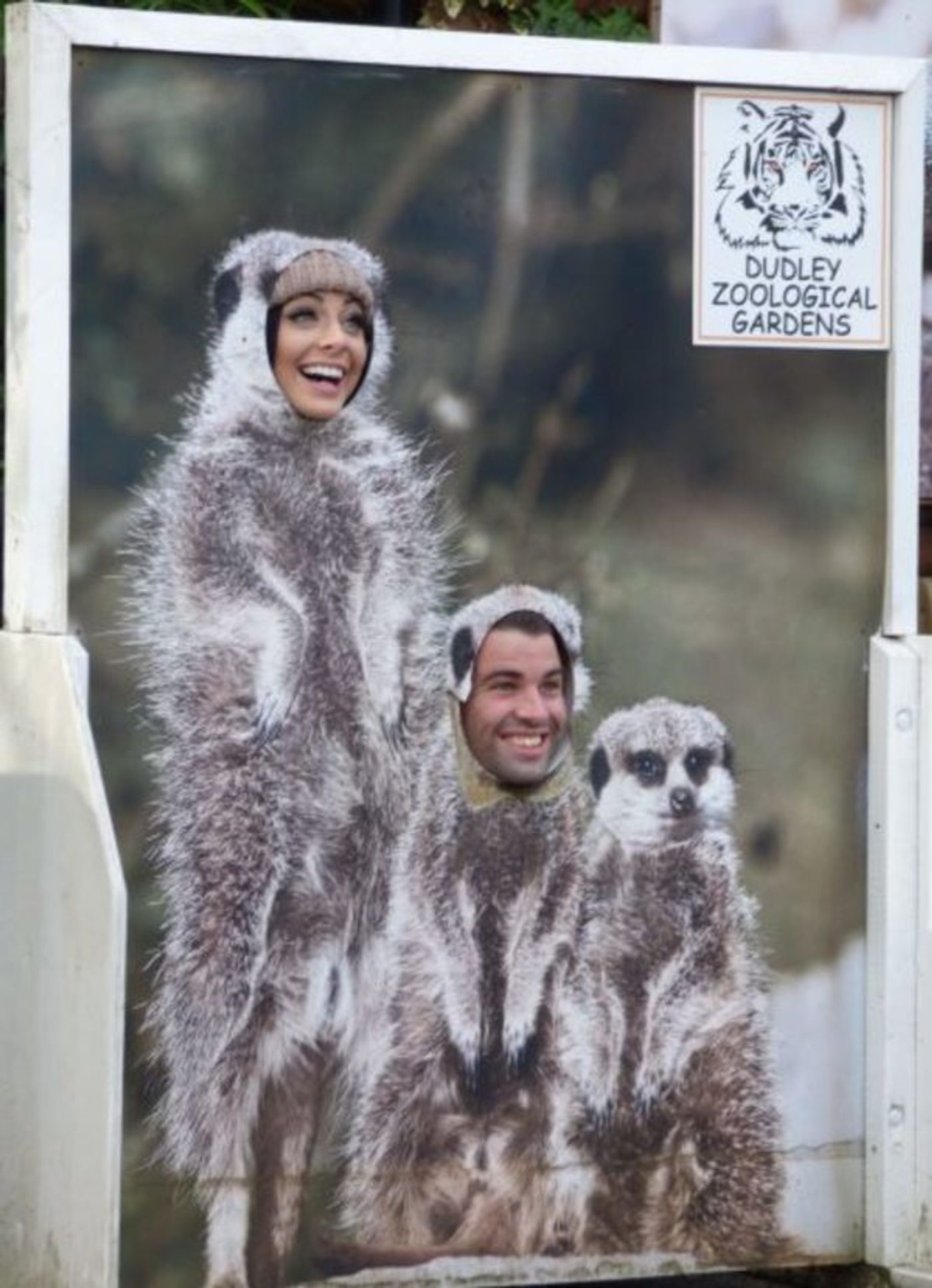 Photo Flash: Joe McElderry and ALADDIN Panto Cast Visit Dudley Zoo  Image