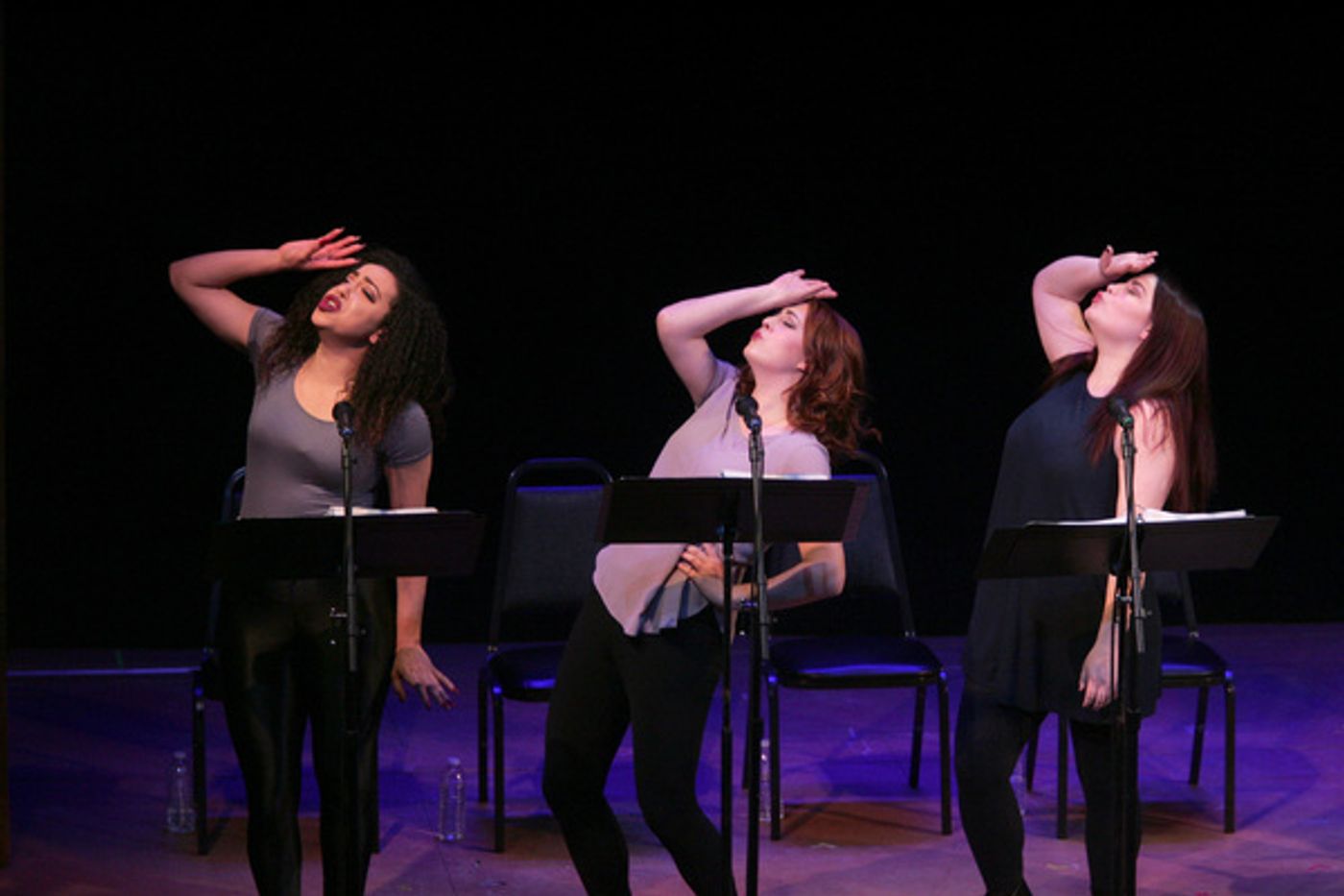 Photo Flash: 12TH ANNUAL FESTIVAL OF NEW MUSICALS at Goodspeed Opera House  Image