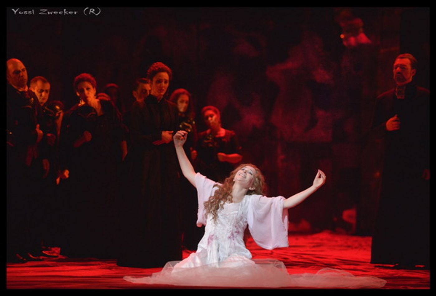 Photo Flash: First Look at Israeli Opera's LUCIA DI LAMMERMOOR  Image
