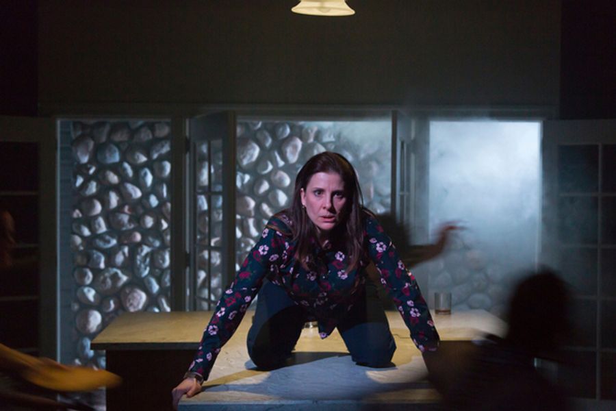 Photo Flash: First Look at Leigh Silverman-Helmed HURRICANE DIANE at Two River Theater Image