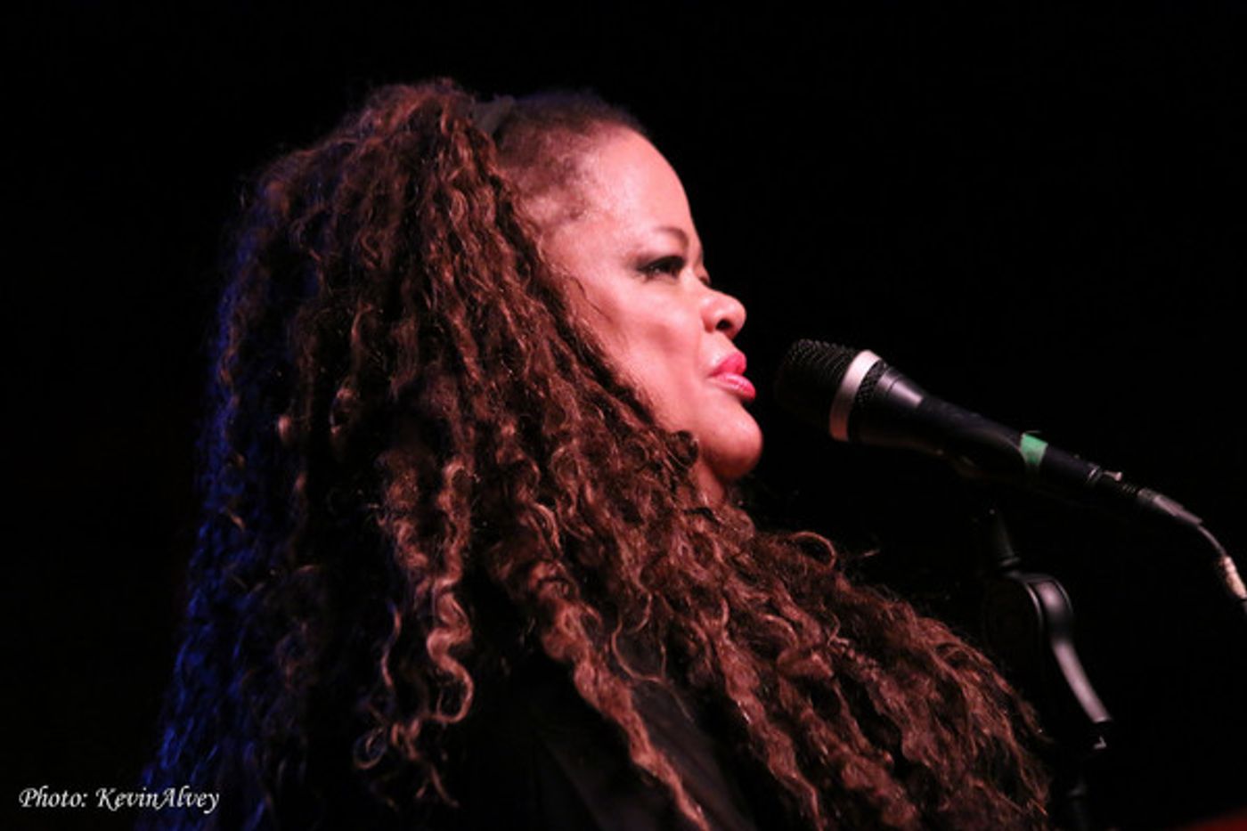 Photo Flash: Natalie Douglas Honors MLK Day with 'STEVIE SONGS' at Birdland  Image