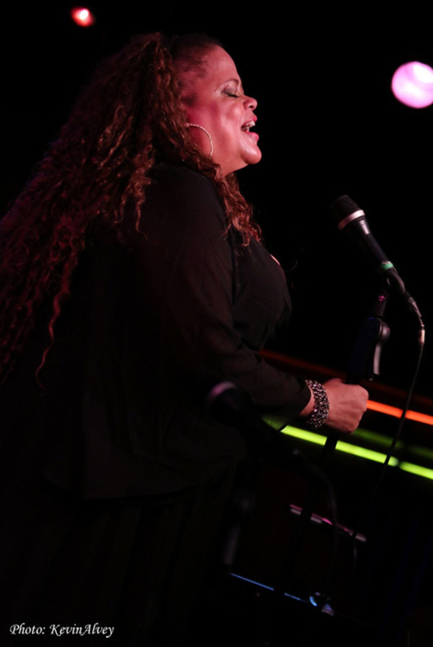Photo Flash: Natalie Douglas Honors MLK Day with 'STEVIE SONGS' at Birdland  Image