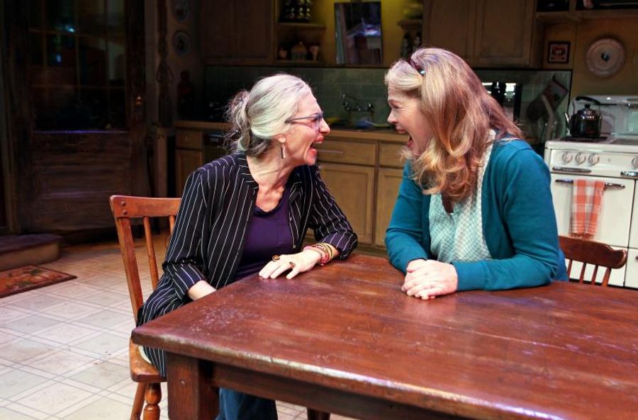 Review: South Coast Repertory's Quirky Play THE ROOMMATE Shakes Things Up Image