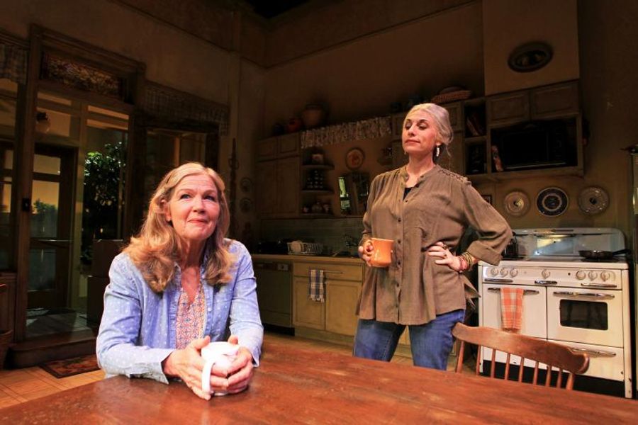 Review: South Coast Repertory's Quirky Play THE ROOMMATE Shakes Things Up Image